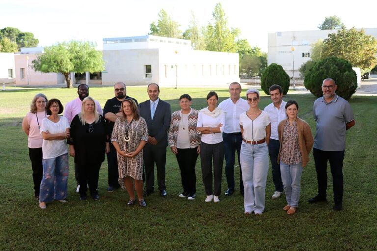 Digistainability Project Team